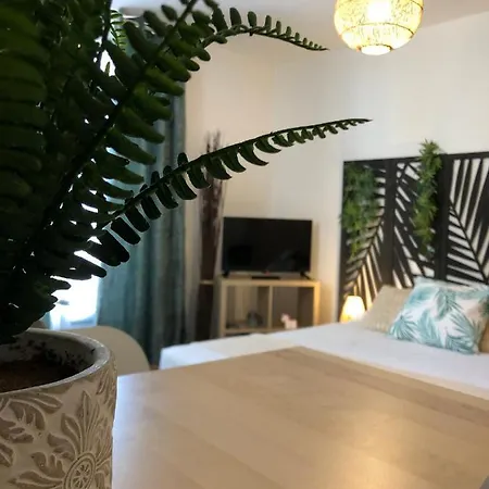 Апартаменты Equateur-centre Jaude