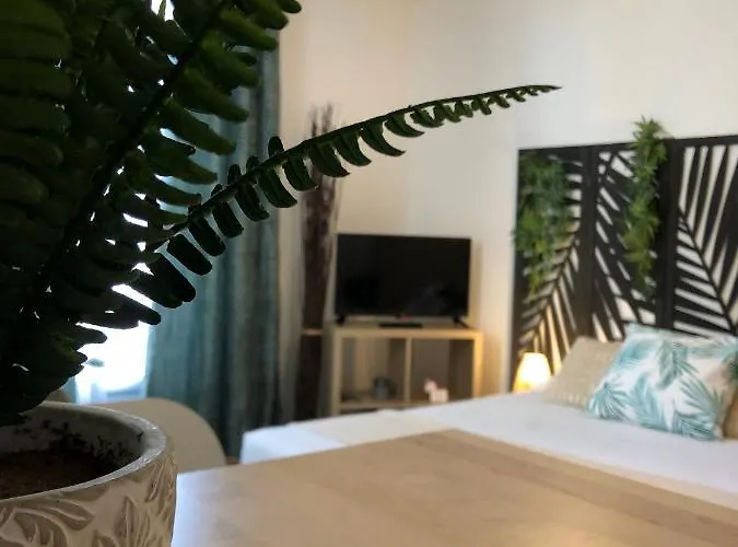 Apartman Equateur-centre Jaude