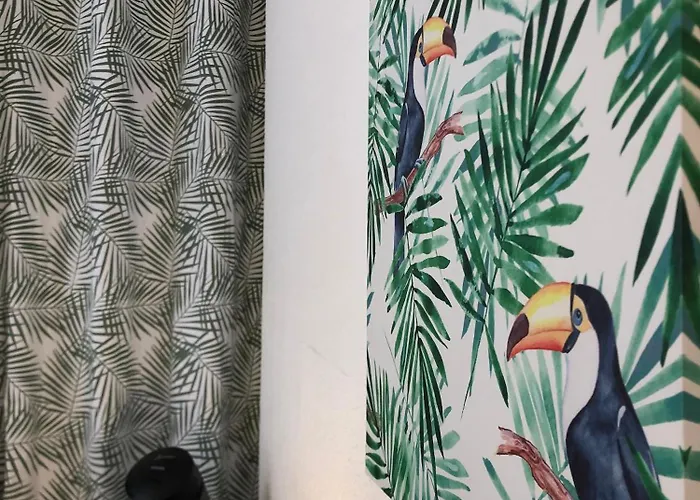 Apartman Equateur-centre Jaude